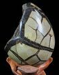 Septarian Dragon Egg Geode - Black Crystals #71990-3